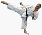 Mawashi geri :Coup de pied circulaire (fouett) (8kb)